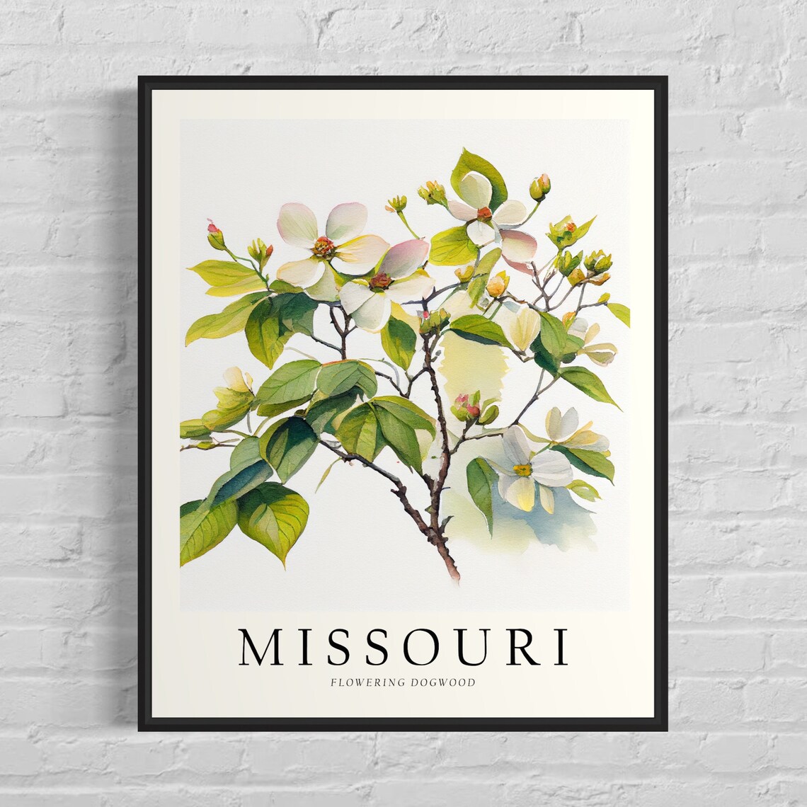 Missouri Flowering Dogwood Watercolor State Tree Botanical Art Print