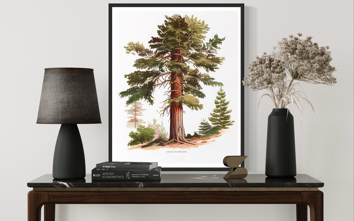 Coast Redwood Towering Evergreen Watercolor Botanical Poster - Image 3