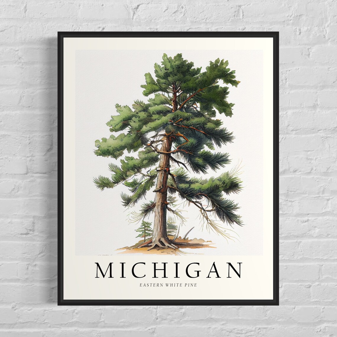 Michigan State Tree Art Print, Eastern White Pine