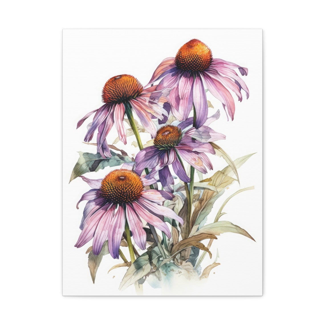 Pink Coneflower Echinacea Watercolor Wildflower Blooms Art Print