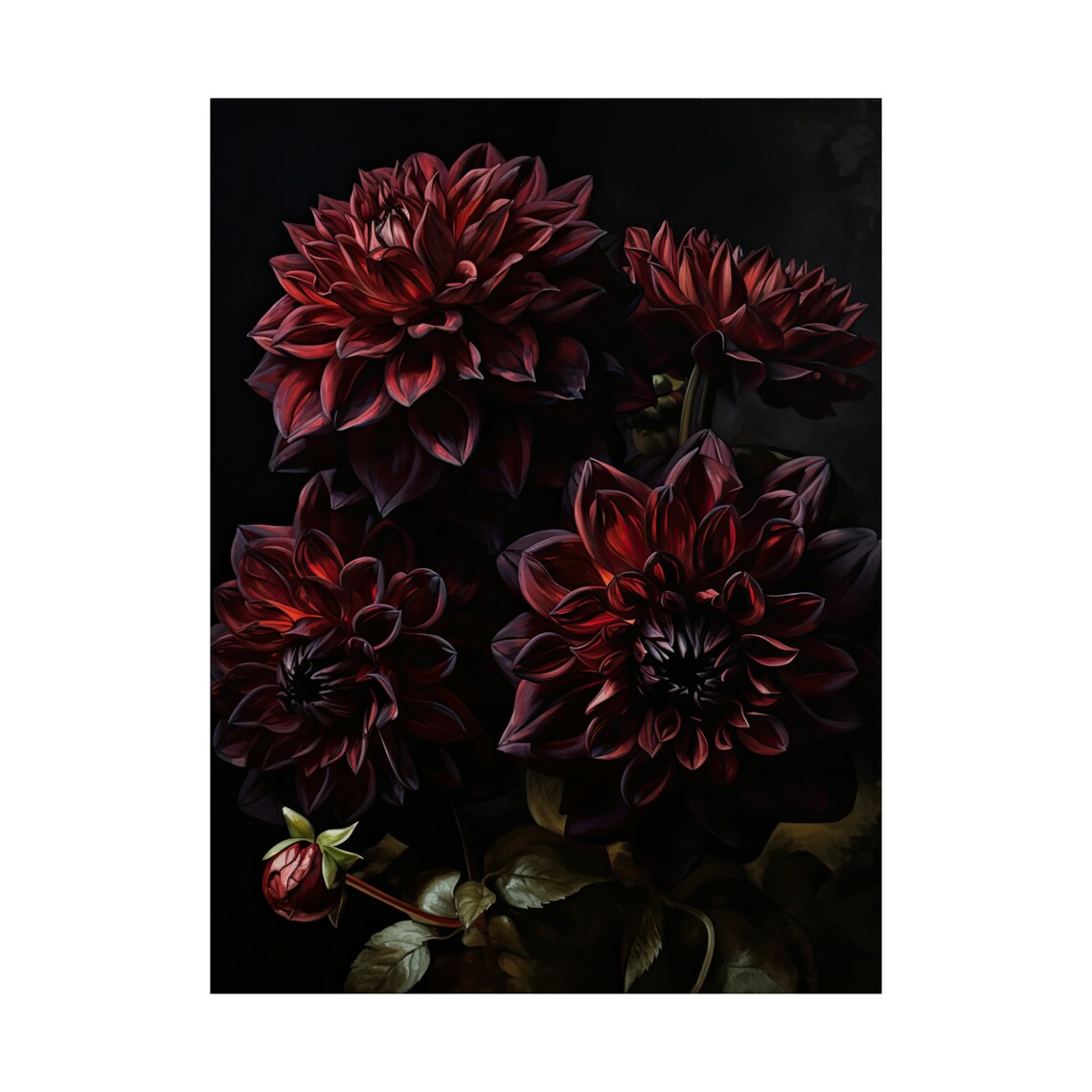 Dark Red Dahlia Blooms Black Background Moody Floral Fine Art Poster - Image 4