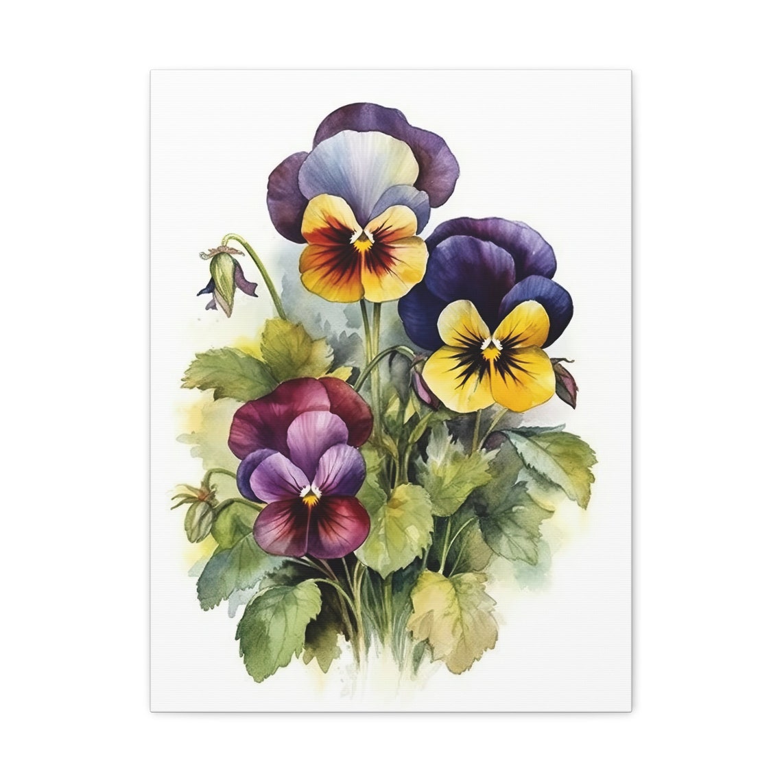 Cheerful Purple Yellow Pansy Flowers Watercolor Botanical Poster