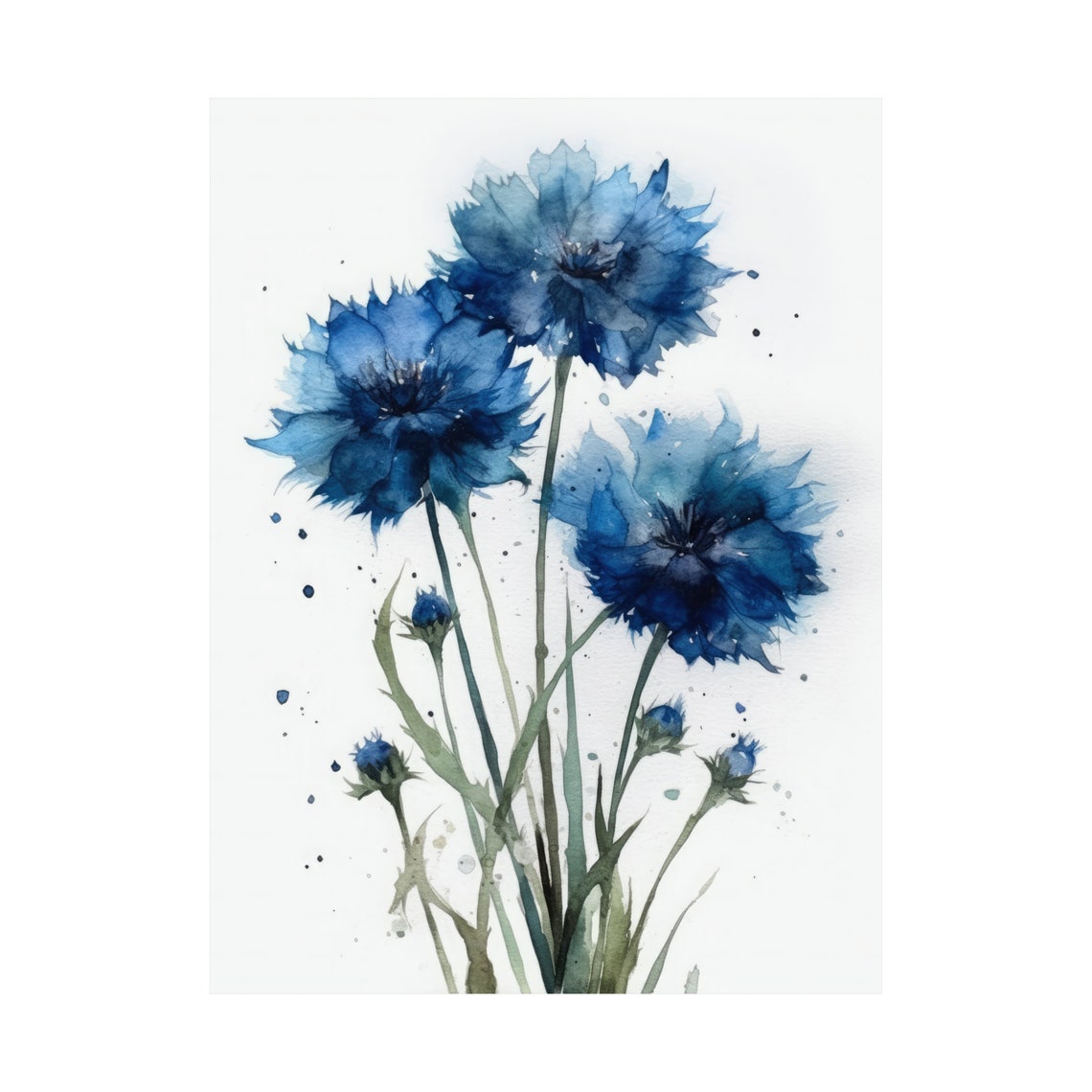 Blue Bachelor Buttons Cornflower Watercolor Botanical Poster - Image 4