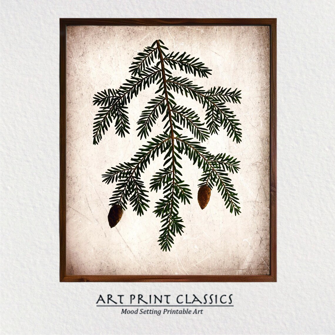 Vintage Pine Cone Rustic Nature Art Print