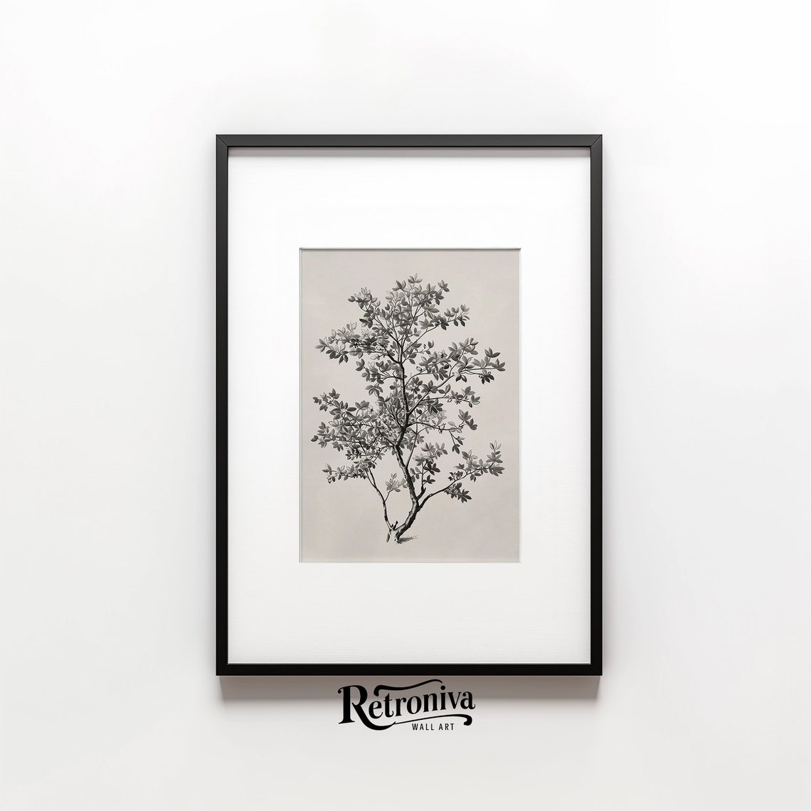 Antique Black And White Botanical Shrub Drawing Vintage Poster - Image 4