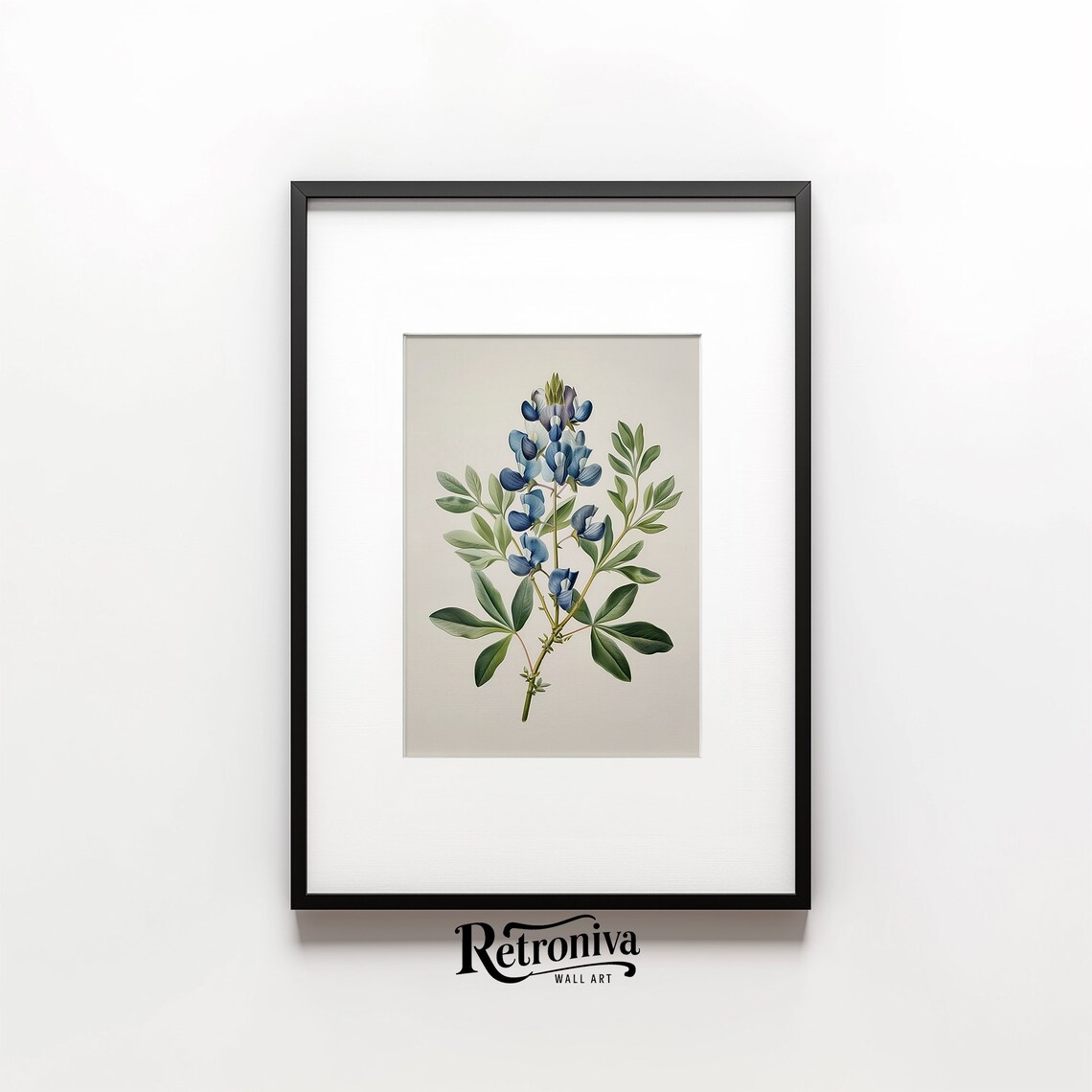 Blue Flower Vintage Botanical Print, Lupinus - Image 6