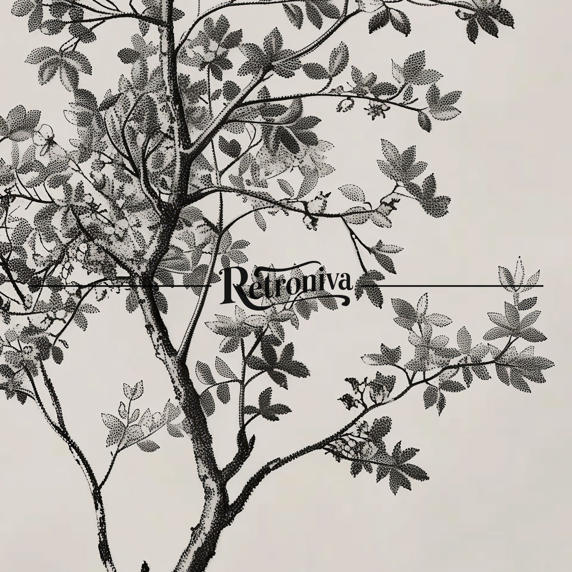 Antique Black And White Botanical Shrub Drawing Vintage Poster - Image 7