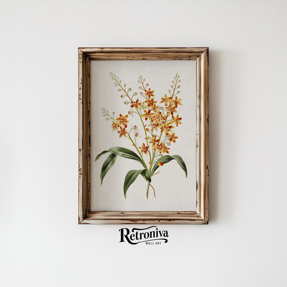 Vintage Orchid Flower Art Print, Minimalist Botanical - Image 4