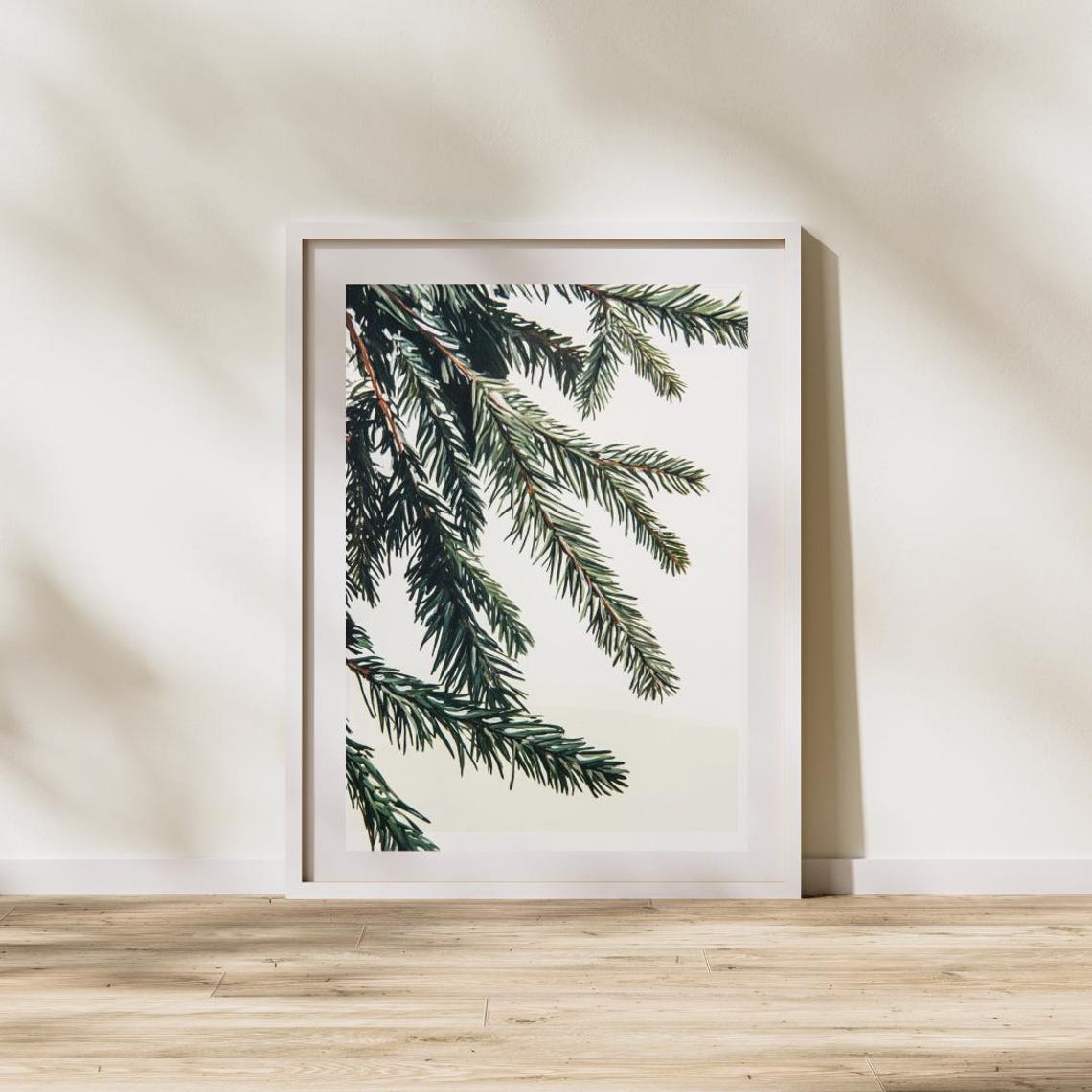 Pine Fir Branch Close Up Study Minimalist White Botanical Art Print - Image 3