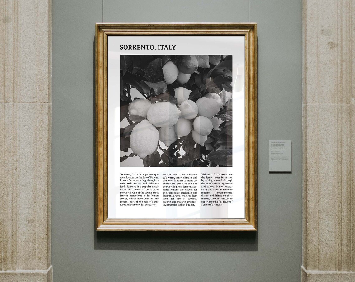 Sorrento Italy Lemon Groves Black White Travel Photography Poster - Image 3
