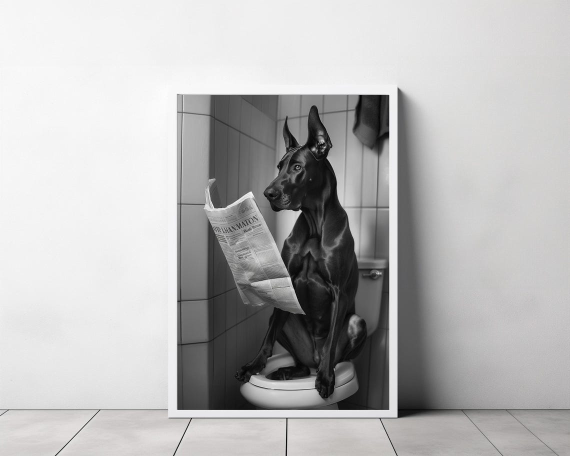 Great Dane Reading Newspaper with Head Bowed Bathroom Poster - Image 3