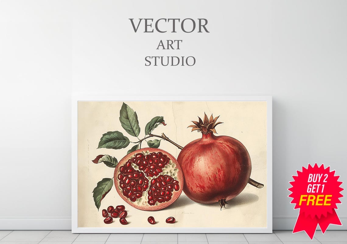 Vintage Red Pomegranate Botanical Whole and Halved Fruit Poster - Image 3