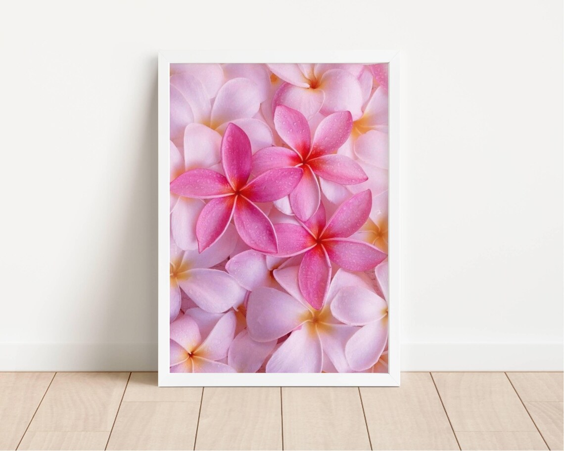 Pink Plumeria Flower Cluster Tropical Hawaiian Frangipani Wall Art - Image 2