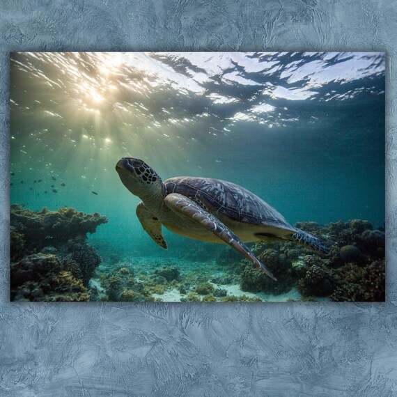 Fishes Home Decor Turtle In Oceon Wall Art Wild Oceon Wall Print Art Living Room Decor Trendy Wall Decor Modern Wall Art Kid Room