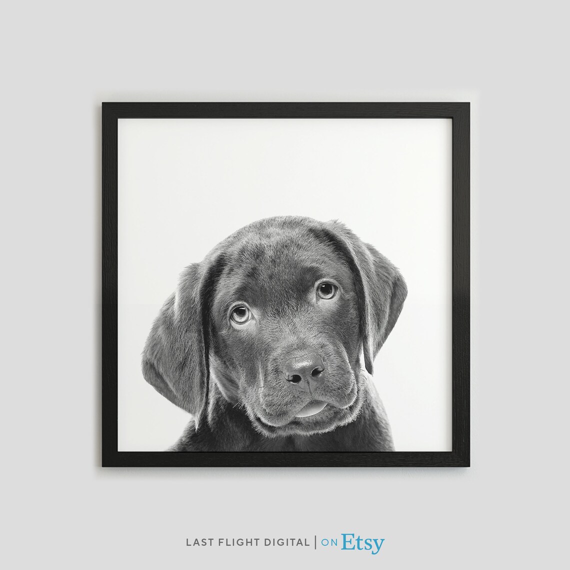 Chocolate Labrador Retriever Dog Poster, Puppy Print