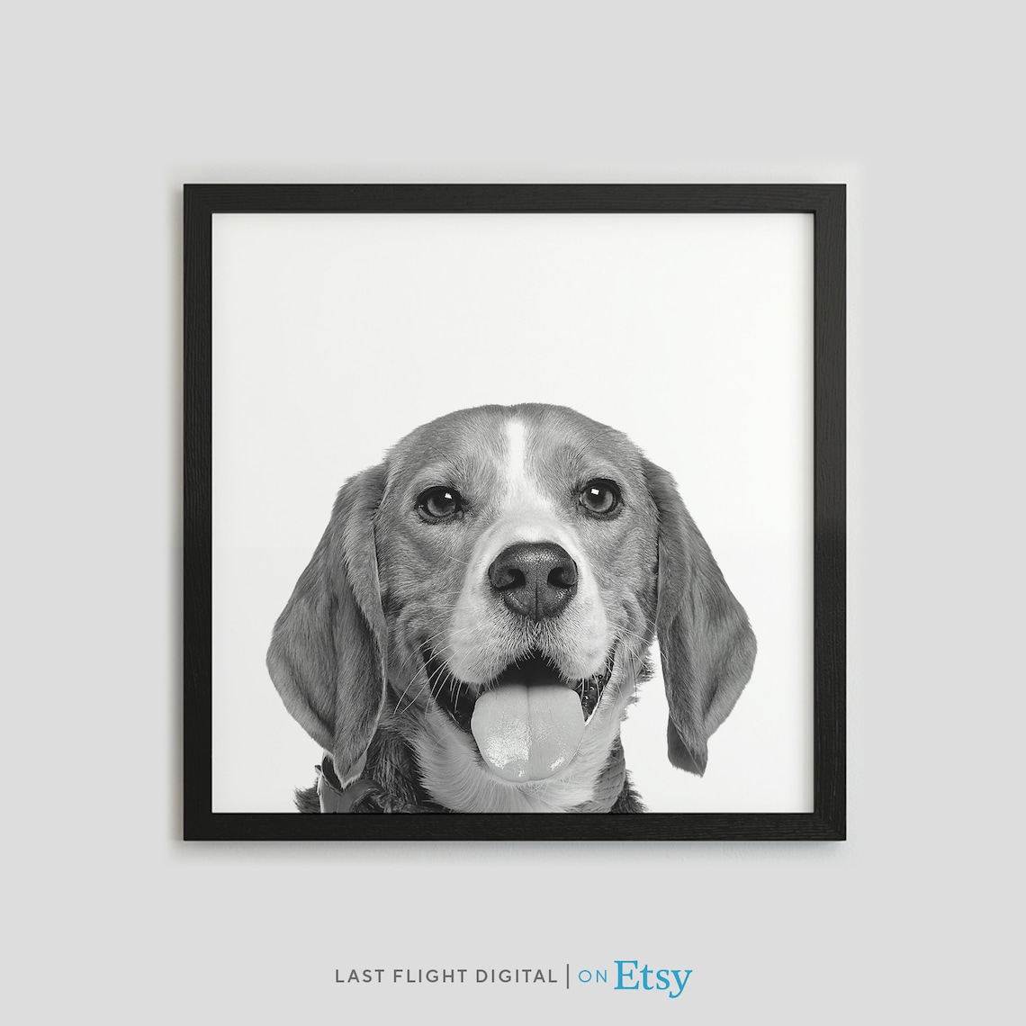 Beagle Dog Happy Tongue Out Black White Photo Pet Portrait Poster