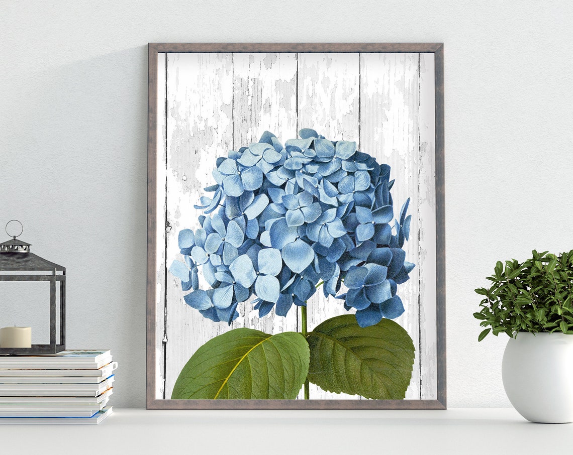 Blue Hydrangea Whitewashed Wood Rustic Floral Botanical Poster