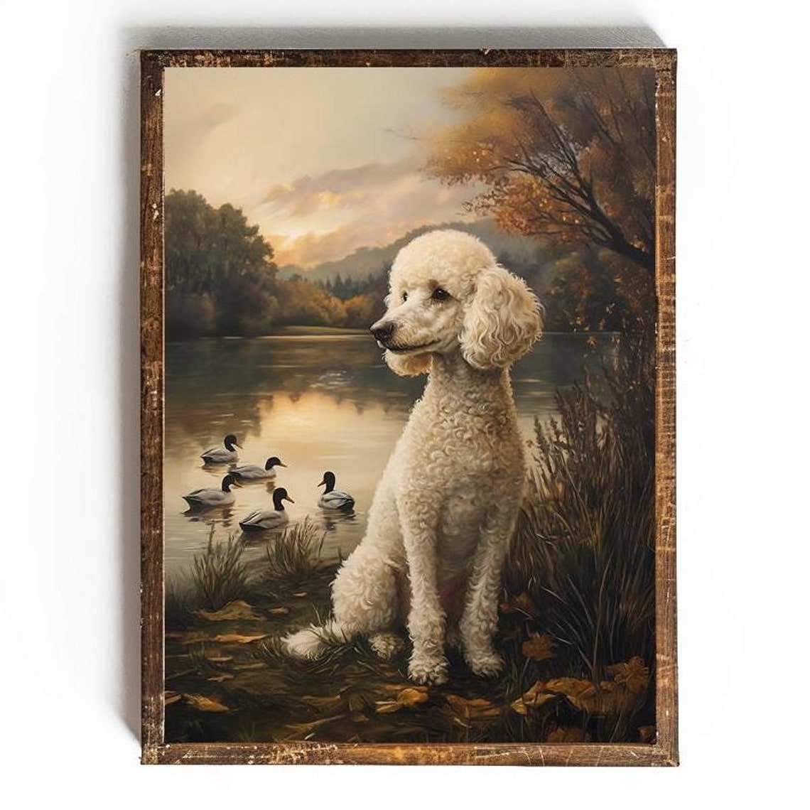 White Standard Poodle Sitting By A Lake At Sunset With Ducks Poster