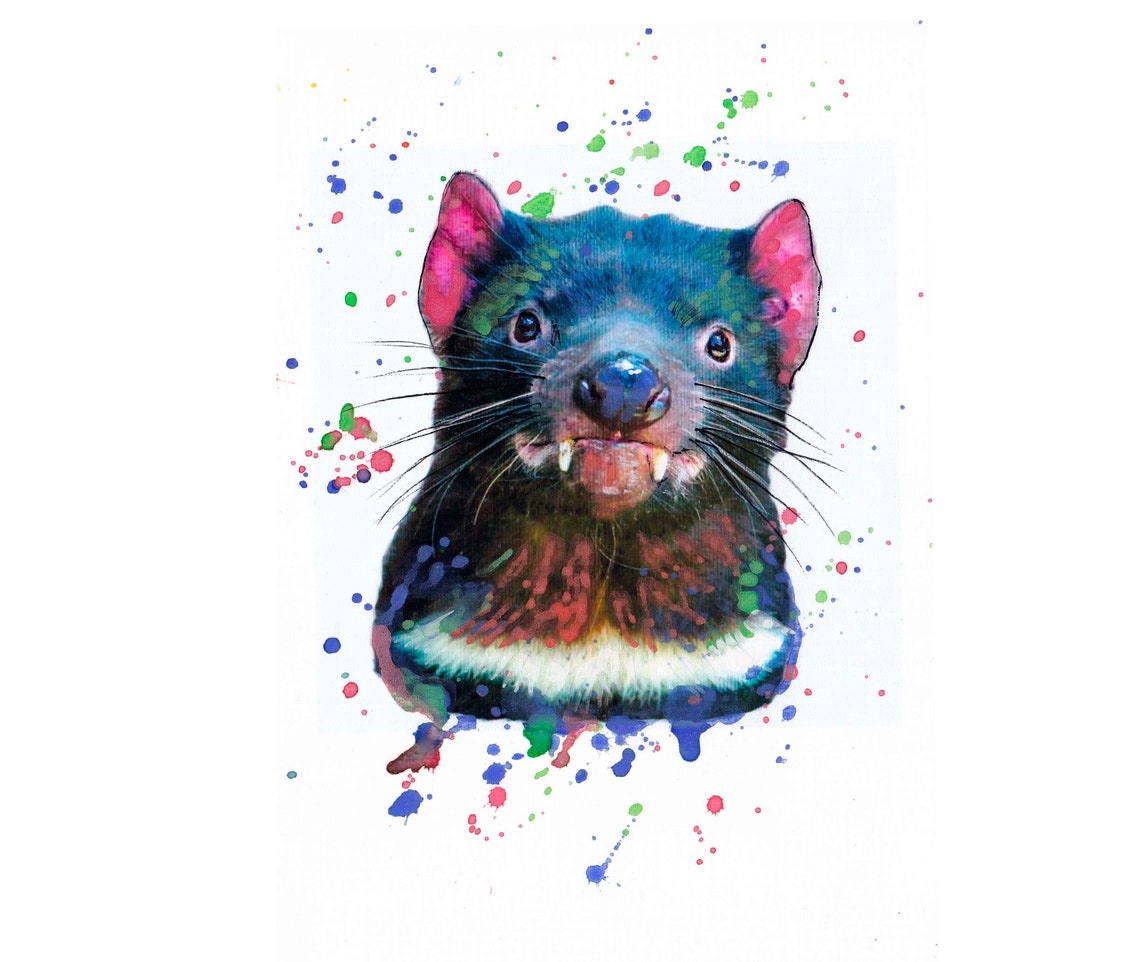 Tasmanian Devil Portrait Colorful Watercolor Splash Art Poster