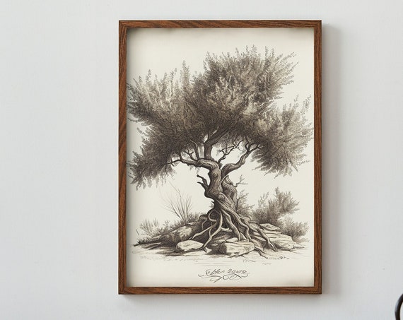 Rustic Olive Tree Sketch For Printing