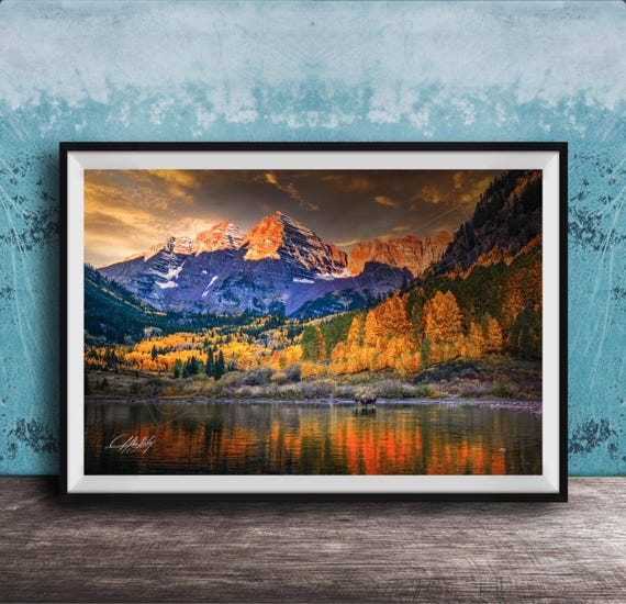 Maroon Bells Wall Art Autumn Sunrise With Moose And Aspen Trees