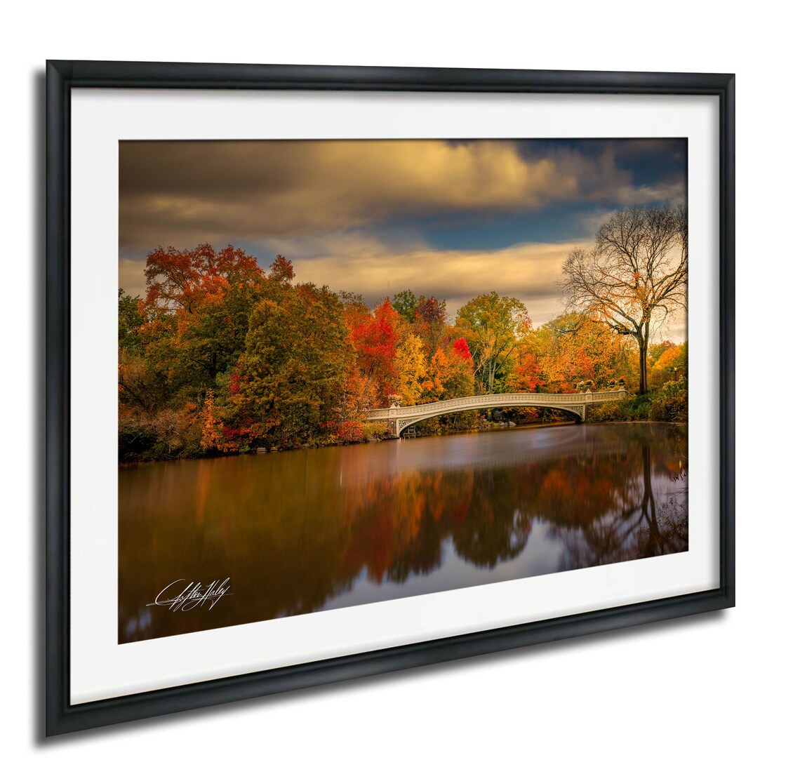 Bow Bridge Golden Autumn Foliage Lake Mirror Central Park Photo Poster