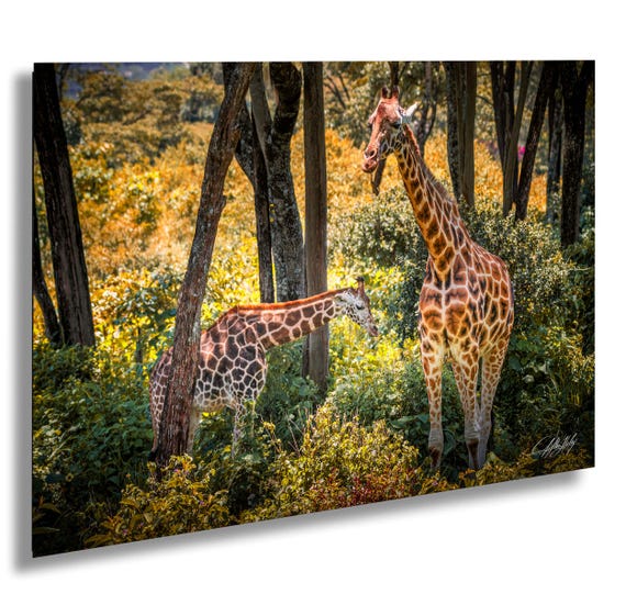 Maximalist Giraffe Print Bright Safari Animal Wall Decor