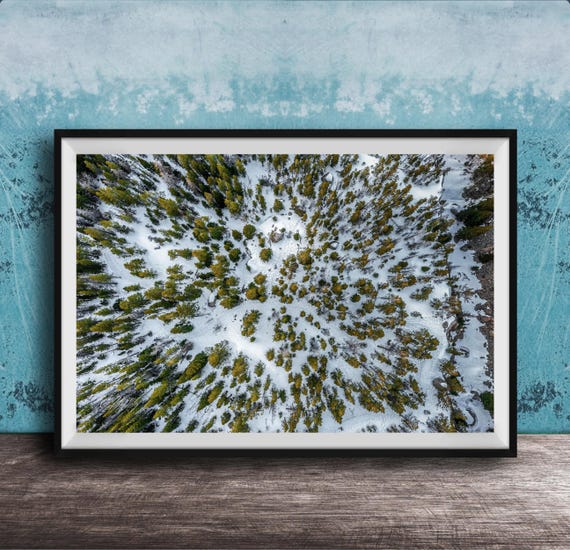 Snowy Mountain Print Evergreen Forest Aerial View Framed Or Canvas
