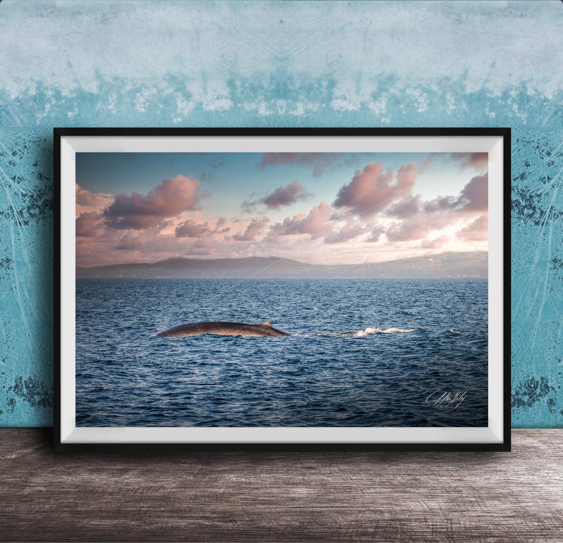 Whale Surfacing At Golden Hour Calm Ocean Wildlife Photo Poster