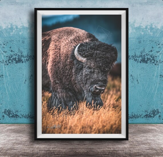 Buffalo Wall Decor Rustic Cabin Style Wildlife Print