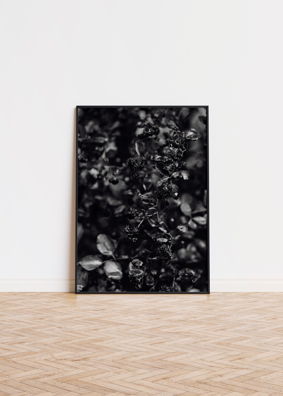 Dark Moody Black White Dried Flowers Branches Fine Art Photo Poster