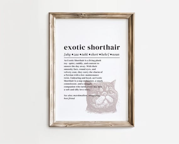 Exotic Shorthair Cat Definition Print Squishy Face Art