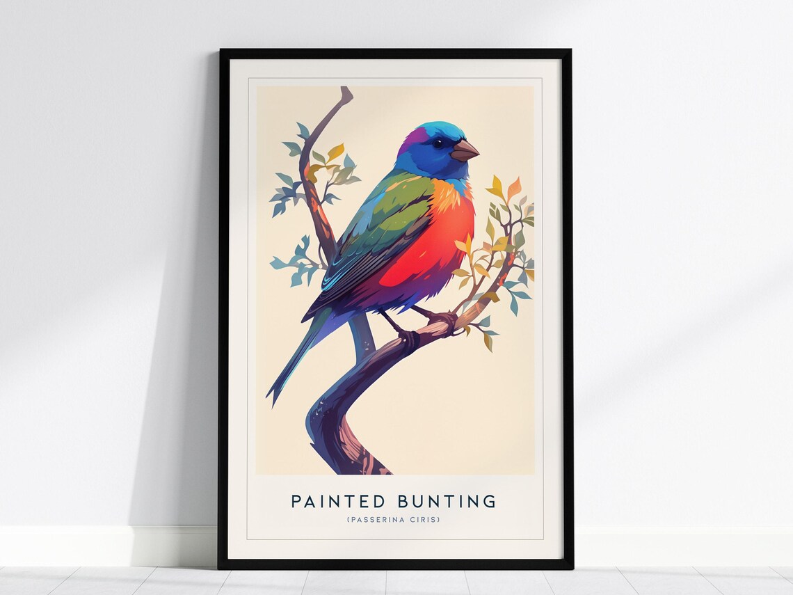 Painted Bunting Bird Poster, Audubon Wall Decor