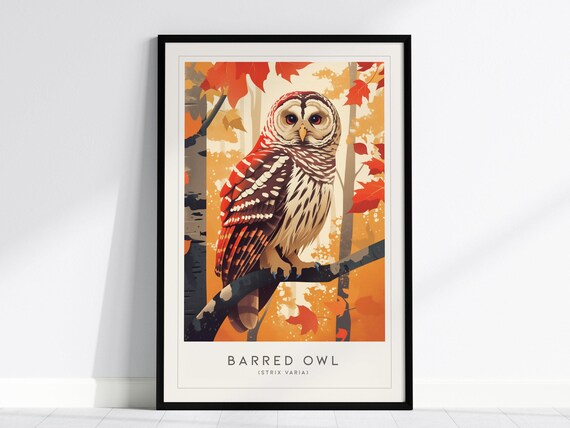 Barred Owl Autumn Forest Bird Art Print