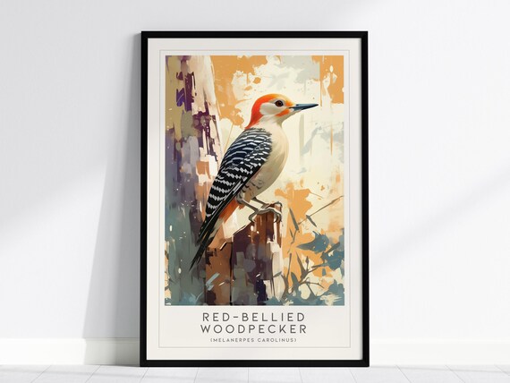 Red Bellied Woodpecker Melanerpes Carolinus Vintage Art Poster