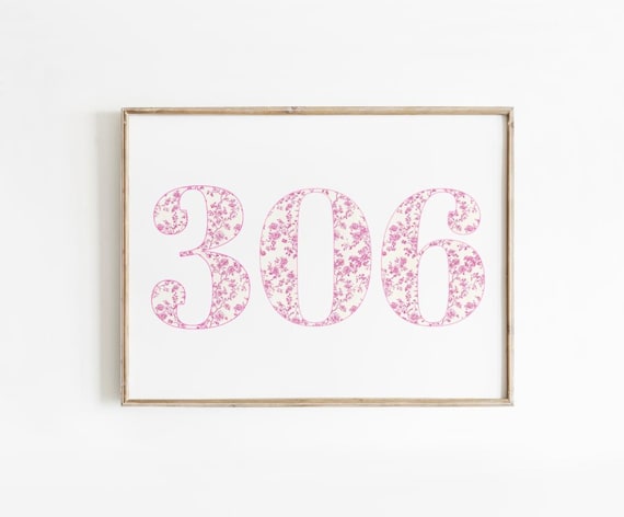 Pink Chinoiserie 306 Area Code Floral Minimalist Landscape Art Poster