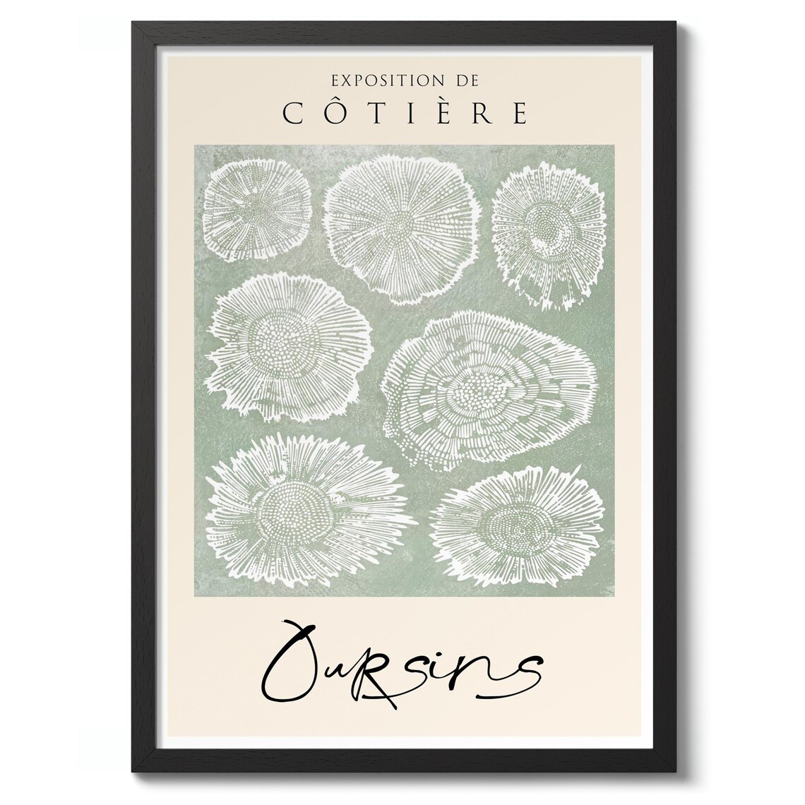 Sea Urchin Vintage French Botanical Illustration Oursins Nature Poster