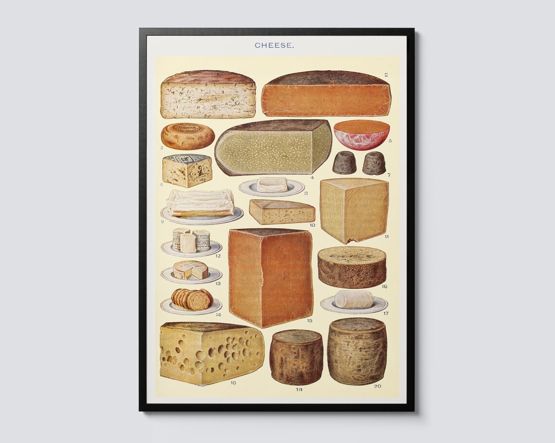 Vintage Cheese Illustration Art Print, Kitchen Decor