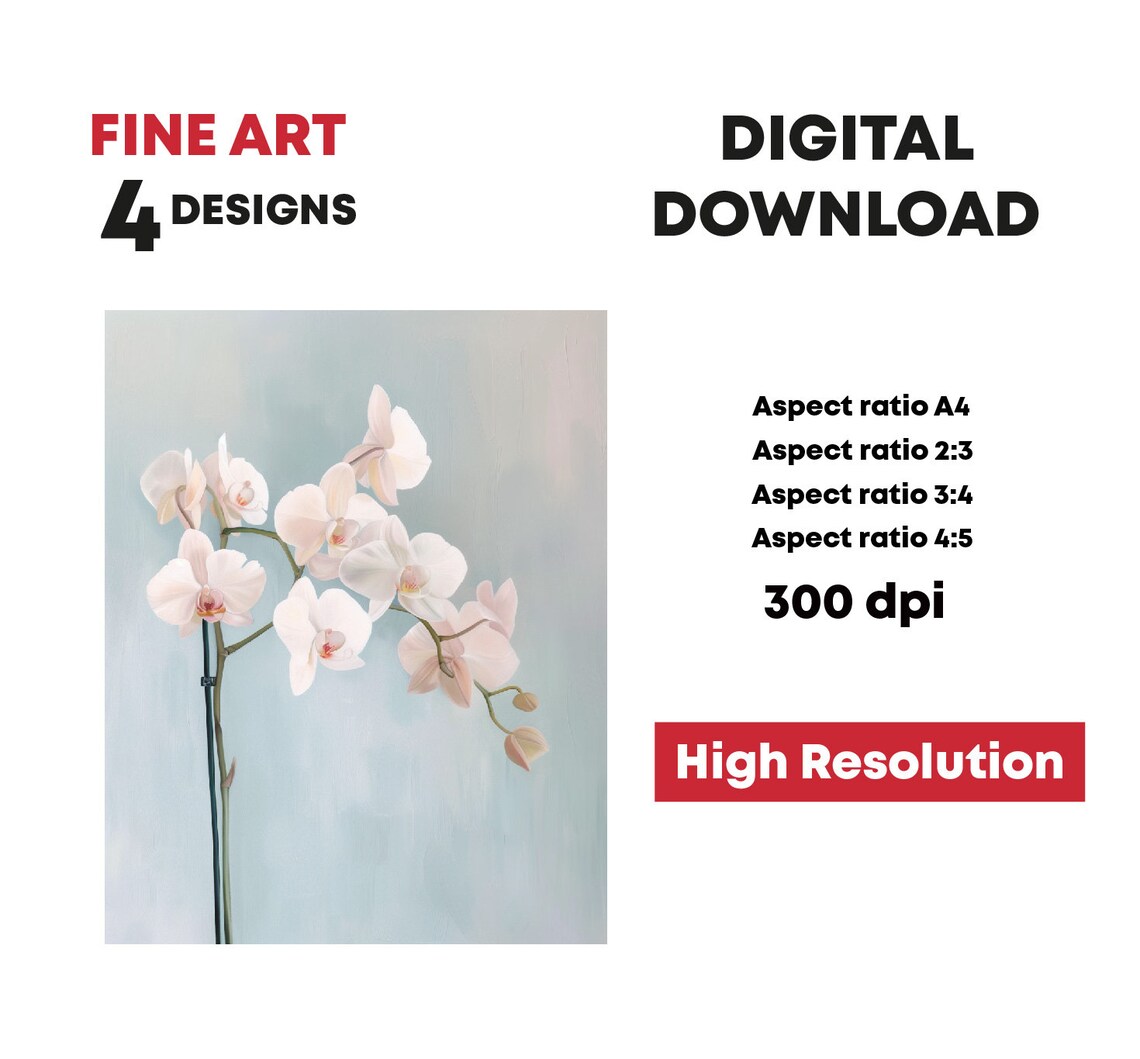 White Orchid Blossoms Soft Blue Background Botanical Art Print - Image 3