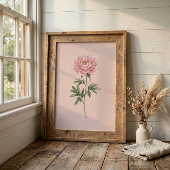 Pink Peony Botanical Illustration Poster Minimal Cottage Garden Decor