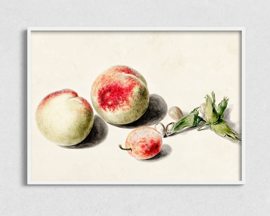 Still Life Fruit Vintage Painting Still Life Peaches Art Print - Image 2