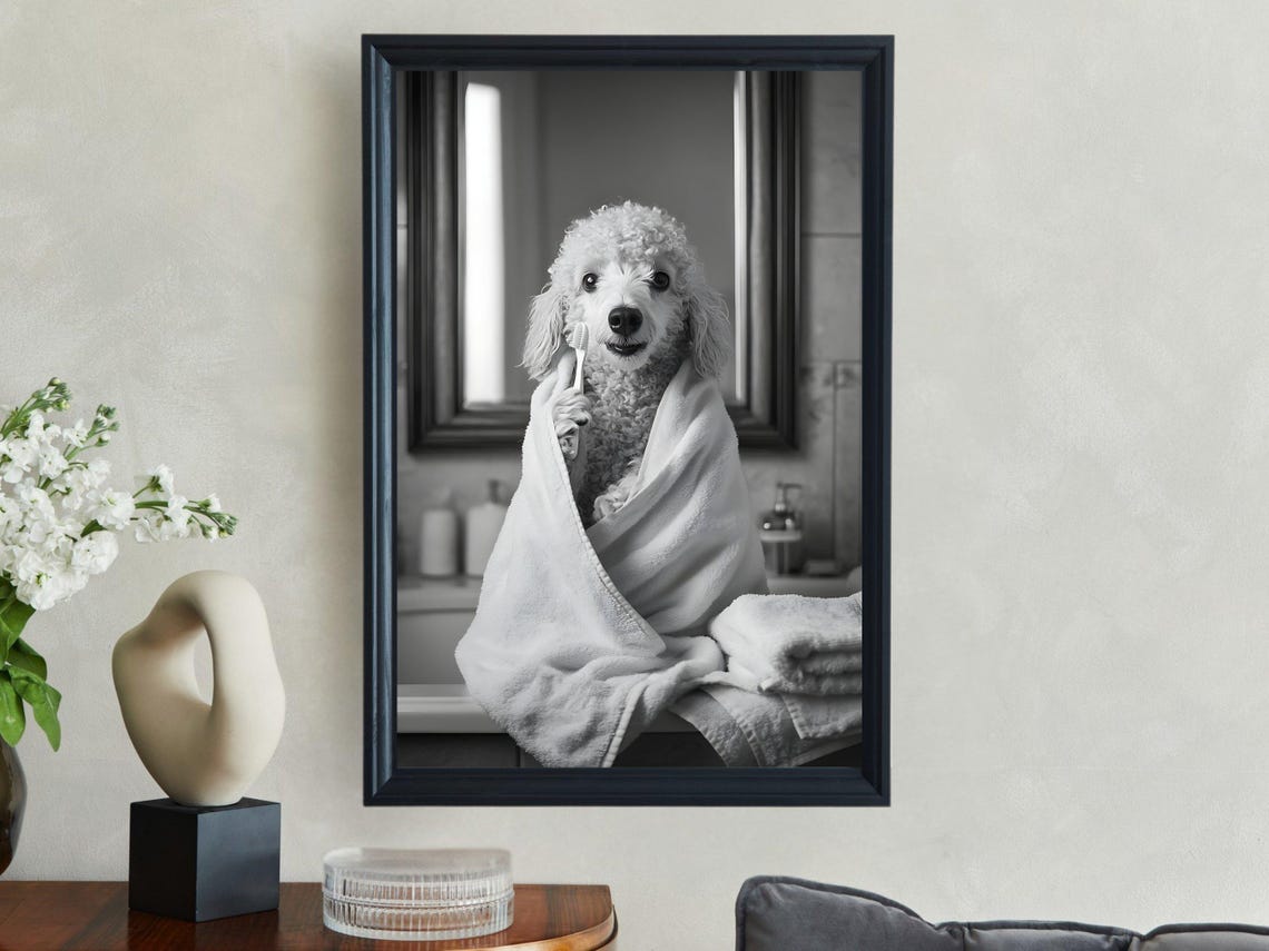 Poodle Wrapped In Towel Brushing Teeth Black And White Poster - Image 2