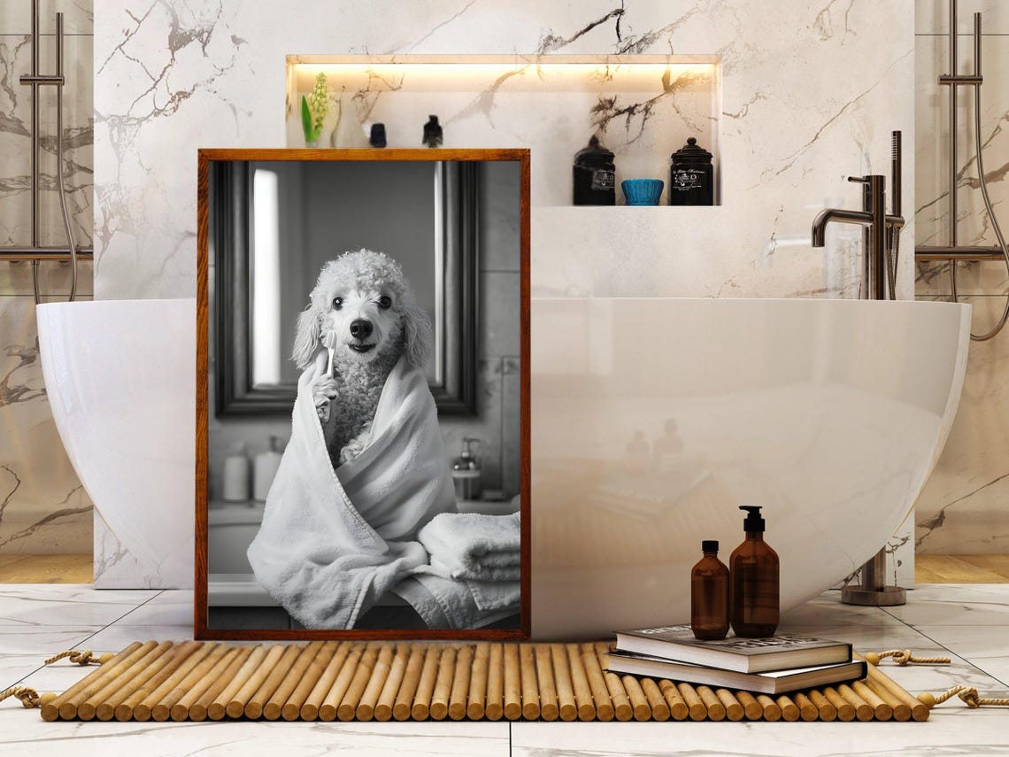 Poodle Wrapped In Towel Brushing Teeth Black And White Poster - Image 5
