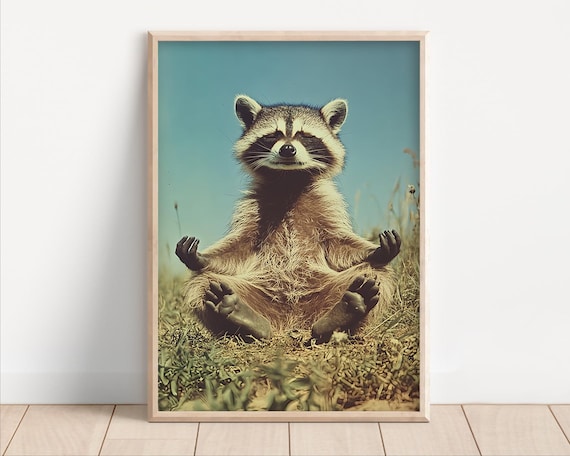 Meditating Raccoon Lotus Pose Vintage Grass Field Yoga Poster
