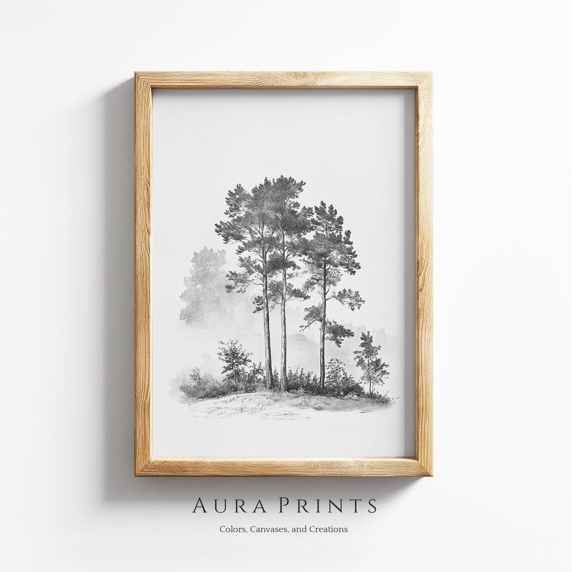 Tall Pine Trees Pencil Line Drawing Vintage Forest Sketch Poster