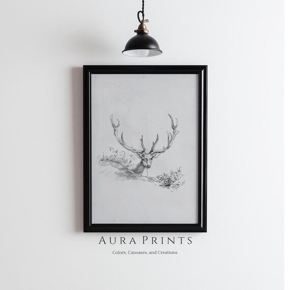 Deer Antlers Sketch Neutral Drawing Vintage Wall Art Rustic Cottage Gift 1001