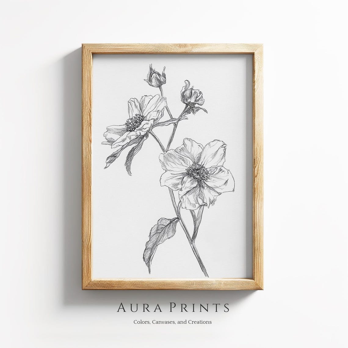 Botanical Flower Line Drawing Handdrawn Minimalist Sketch 1264