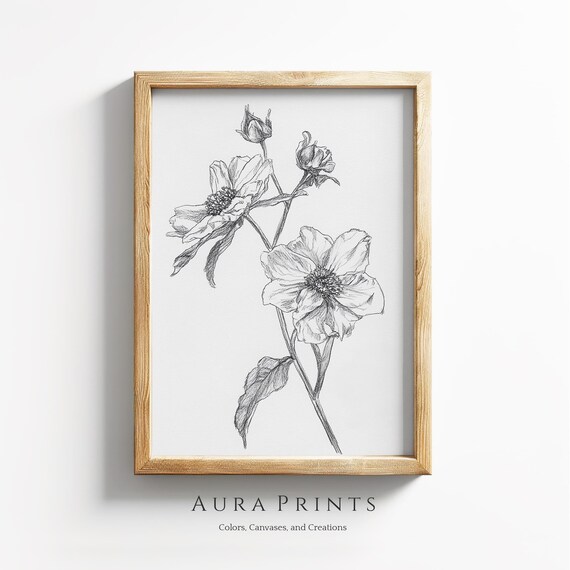 Delicate Flower Line Drawing Minimalist Botanical Sketch Art Poster