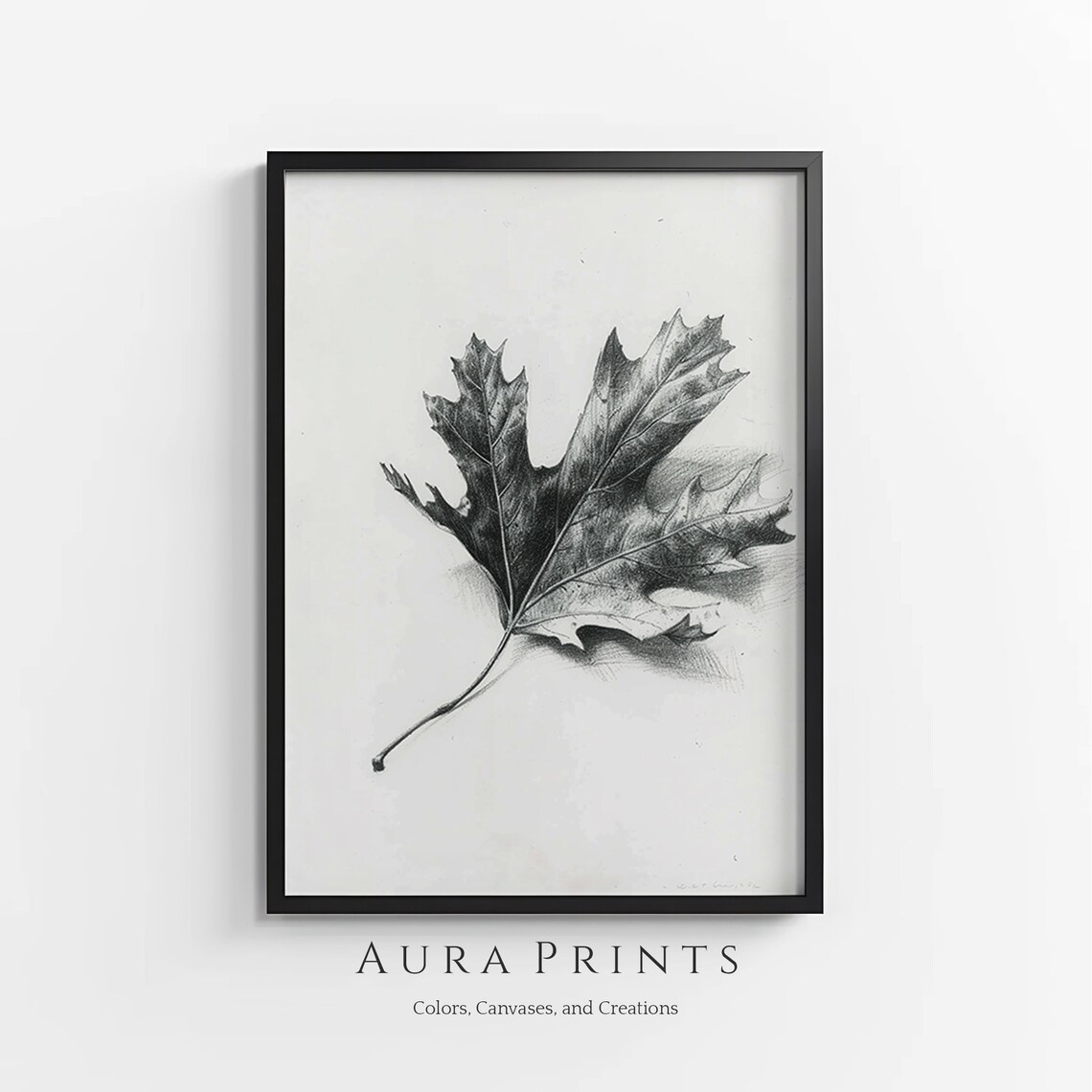 Oak Leaf Pencil Sketch Botanical Minimalist Vintage Nature Art Poster