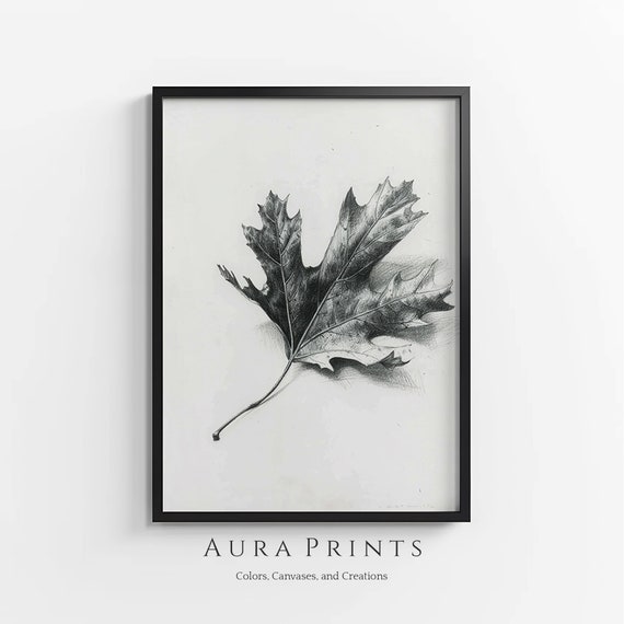 Majestic Oak Leaf Sketch Nature Illustration Vintage Cottage Wall Decor Rustic Farmhouse Gift 0963
